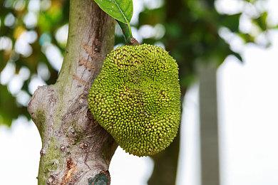 旧版eShop真不熟 Switch2新商店页面体验流畅顺滑